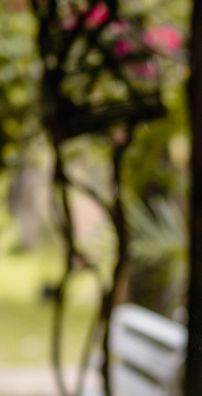 Foto de Gersonita Barros