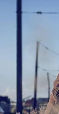 Foto de Little Nation