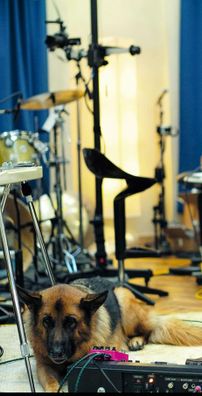 Foto de David Gilmour