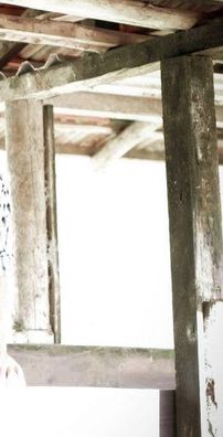 Foto de Elvis & Egon