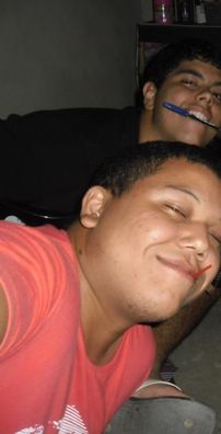 Foto de Cachorros no Telhado