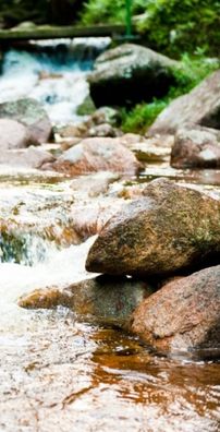 Foto de Robério Rocha