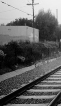 Foto de Robert Francis