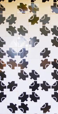 Foto de Salomão Di Pádua