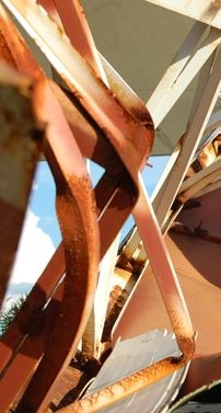 Foto de Nilton Junior