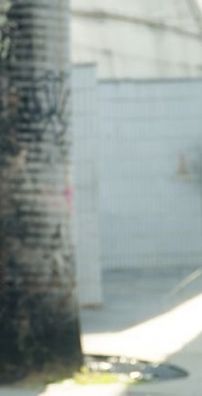 Foto de Alessandra Garcia