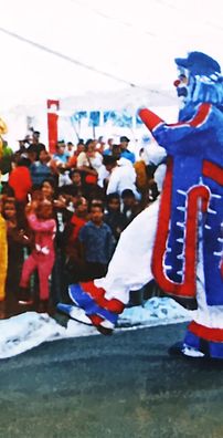 Foto de Piriri Pororó