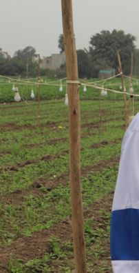 Foto de Phillip B. Sound