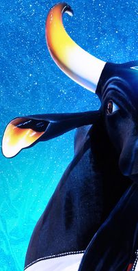 Foto de Boi Caprichoso