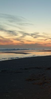 Foto de The Early Hours