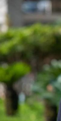 Foto de Adriano Jeronimo