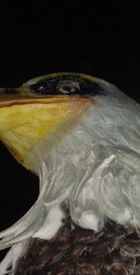 Foto de Acadêmicos de São Francisco