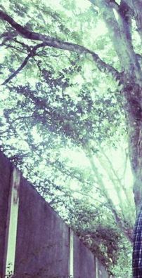 Foto de Alexandry Peixotto