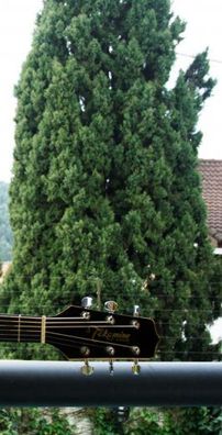 Foto de Gabriel Gaier