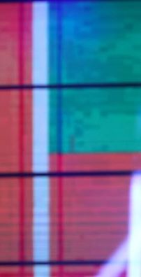 Foto de Ávine Vinny