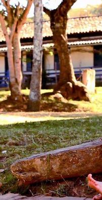 Foto de Irene Bertachini