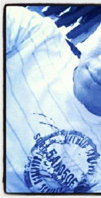 Foto de Wellyngton Pereirah