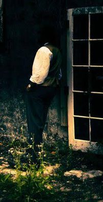 Foto de liar, flower