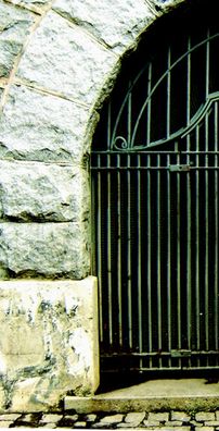 Foto de Voxifera Draconis