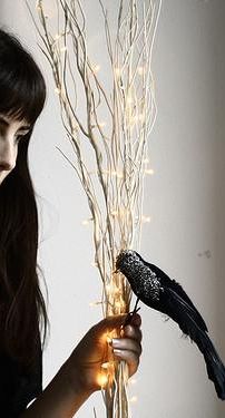 Foto de Love Like Birds