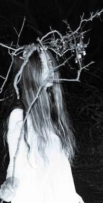 Foto de liar, flower