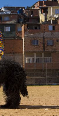 Foto de Bárbara Beats