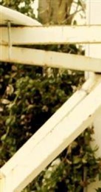 Foto de Marco Ligabue