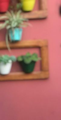 Foto de Camilla Farias