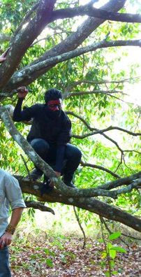 Foto de Arandu Arakuaa