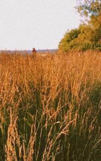 Foto de Cautious Clay