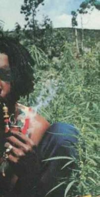 Foto de Peter Tosh