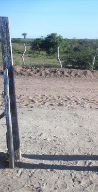 Foto de Baiano Dos Teclados