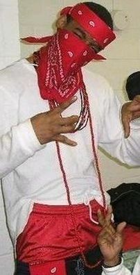 Foto de Bloods and Crips