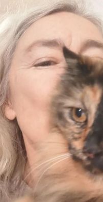 Foto de Virginie Boutaud