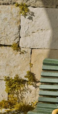 Foto de Stefano Zalla