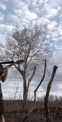 Foto de Melqui Brito