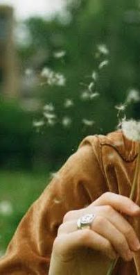 Foto de Matt Maltese