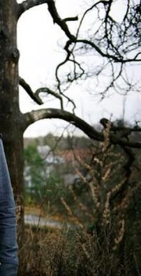 Foto de Meadow Island