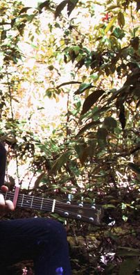 Foto de Matheus Canuto