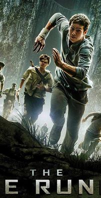 Foto de Maze Runner