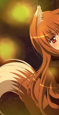 Foto de Ookami To Koushinryou