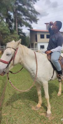 Foto de MC MINERINHO