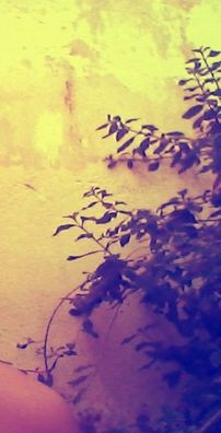 Foto de Marco Birkwerr