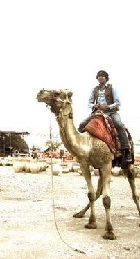 Foto de The King Khan & BBQ Show