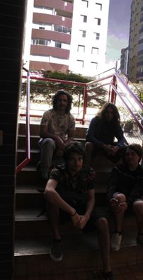 Foto de bala de eucalipto