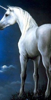 Foto de Aborto de Unicórnio