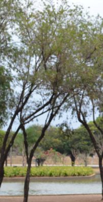 Foto de Marcos Franco