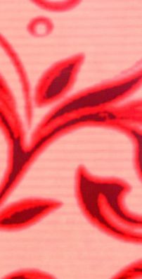 Foto de Luiza & Maurílio