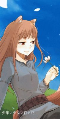 Foto de Ookami To Koushinryou