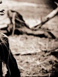 Foto de Ari Koivunen